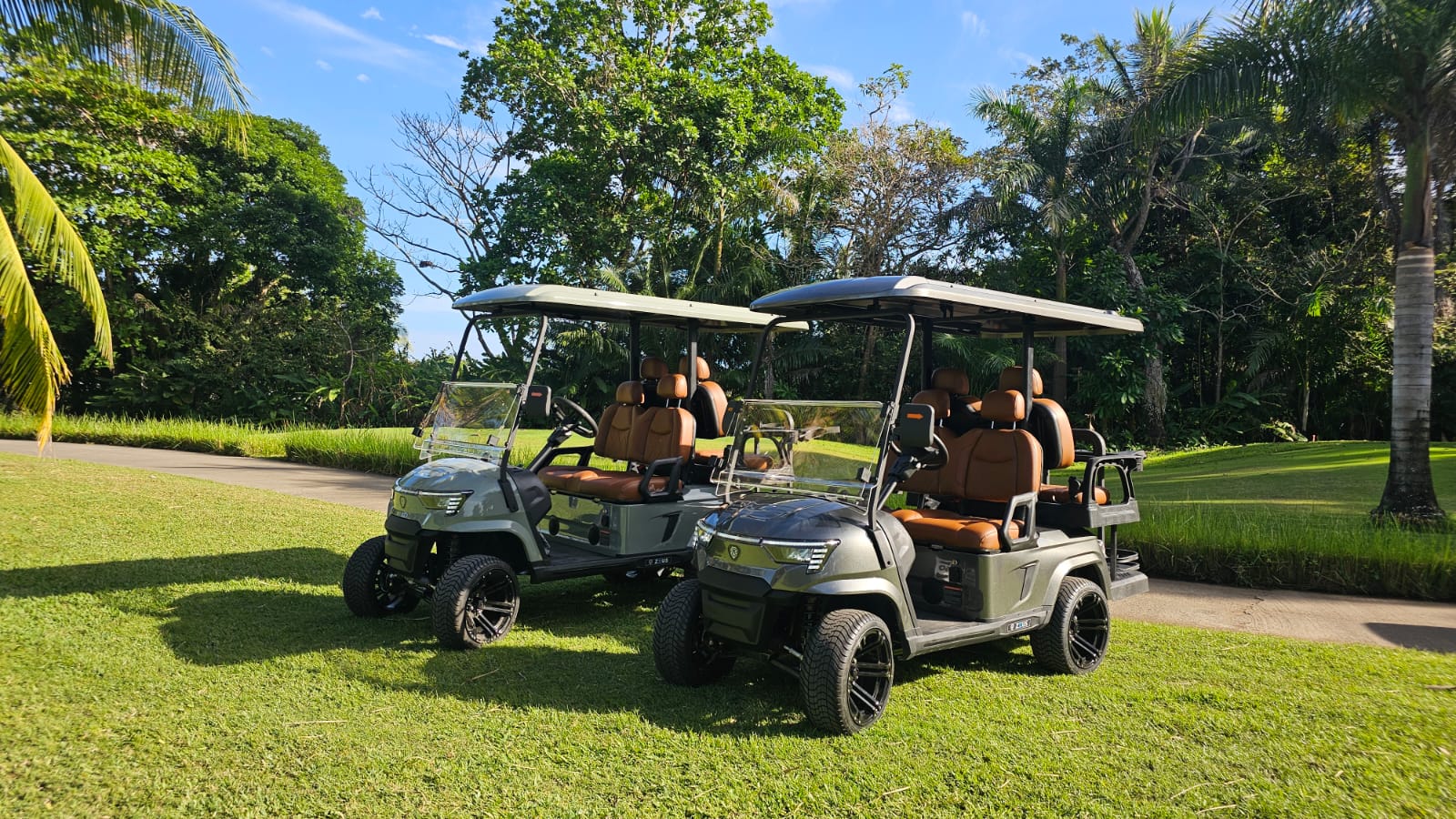 Premium 6-Seater Golf Cart