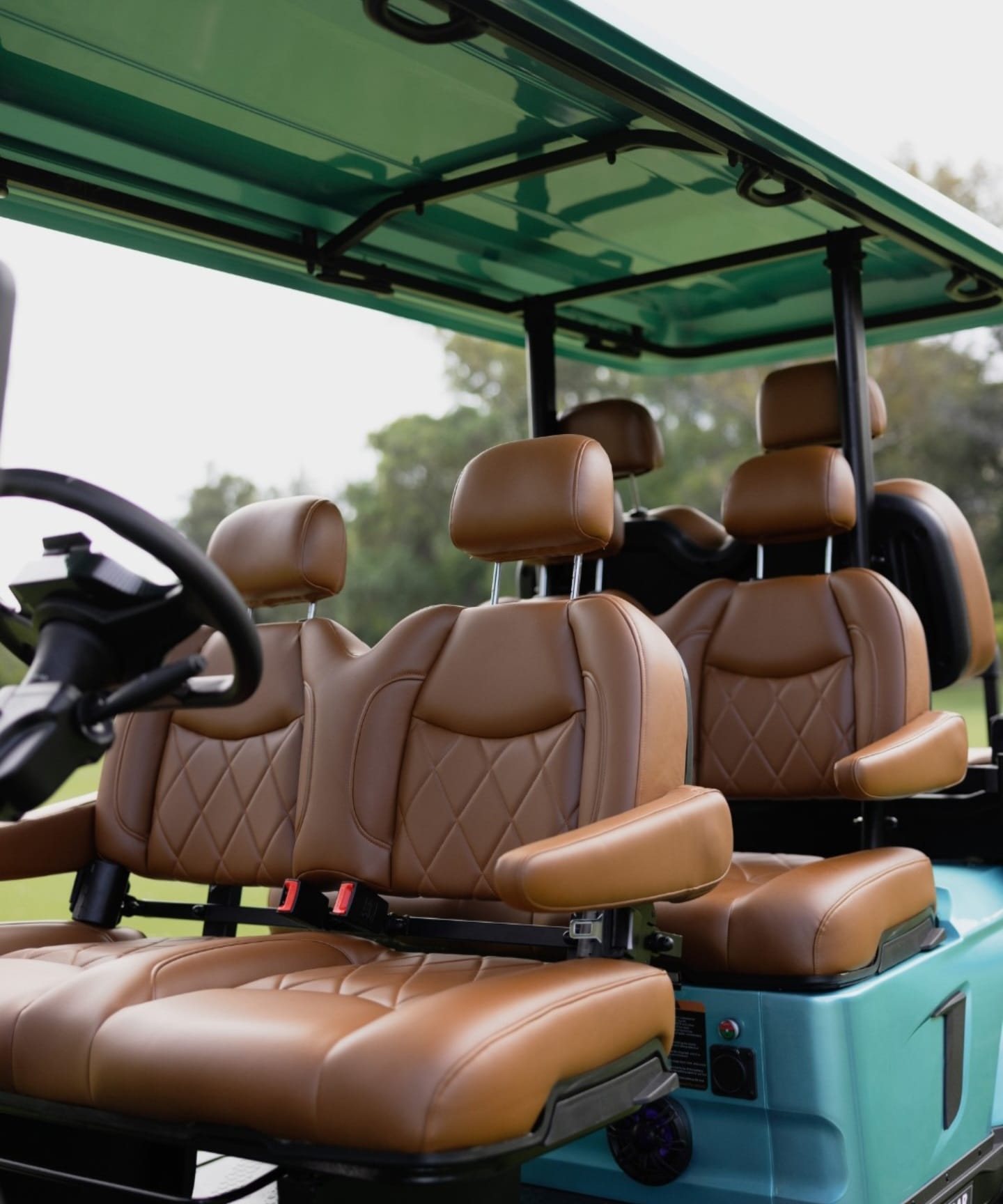 Luxury 6-Seater Golf Cart